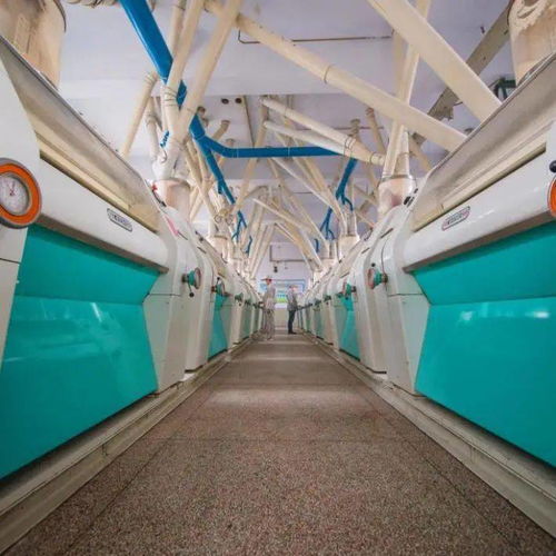 喜訊 省級特色優(yōu)勢食品產(chǎn)業(yè)強(qiáng)鎮(zhèn) 特色優(yōu)質(zhì)食品,我市新增2項(xiàng)省級食品工業(yè)榮譽(yù)